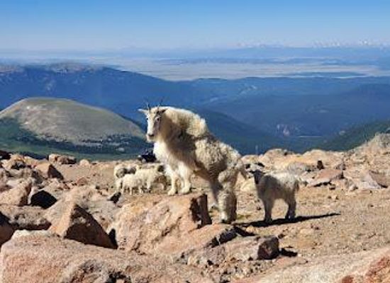 colorado/breckenridge/attraction/mount-blue-sky