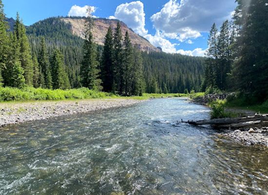 montana/the-beartooth-mountains/attraction/warm-creek-picnic-area