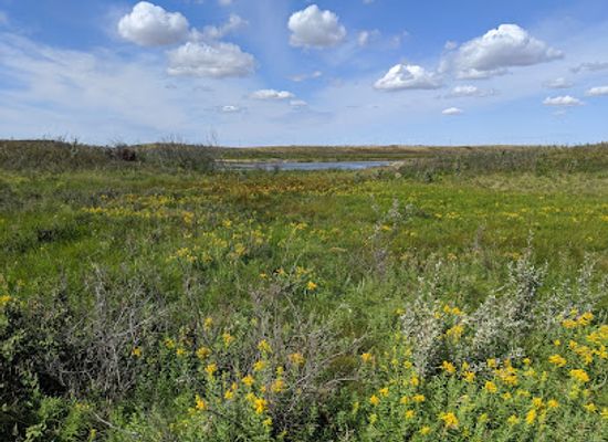 canada/prairies/attraction/northeast-swale