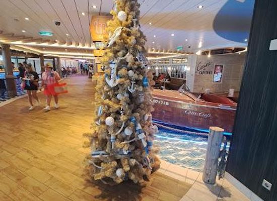 texas/galveston/attraction/carnival-cruises-port