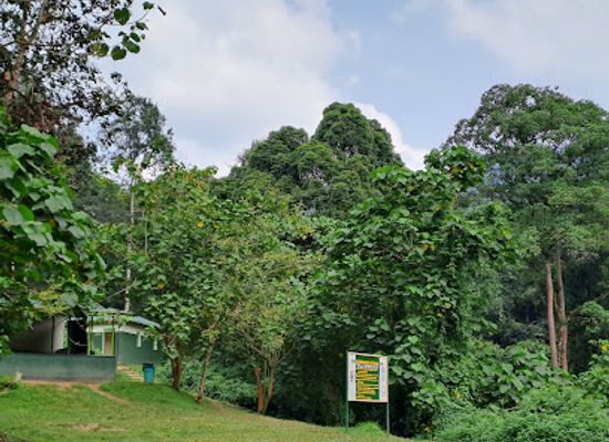 uganda/bwindi-impenetrable-national-park/attraction/rushaga-headquarters