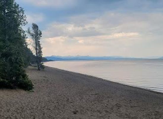 montana/yellowstone-national-park/attraction/fishing-bridge-visitor-center