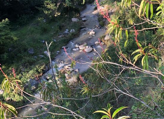 dominican-republic/constanza/attraction/bello-bosque-y-vista-al-rio
