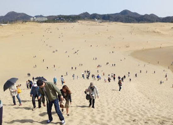 japan/tottori-sand-dunes/attraction/tottori-sand-dunes-park-service-center