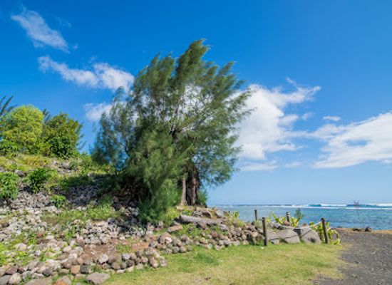 french-polynesia/windward-islands/attraction/marae-maha-iatea