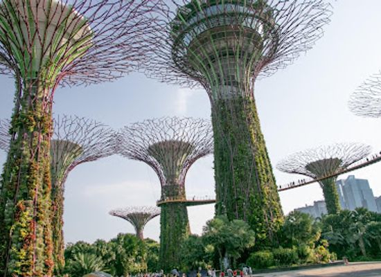 singapore/singapore/marina-bay/attraction/merlion