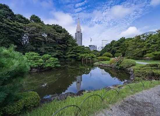 japan/tokyo/attraction/shinjuku-gyoen-national-garden