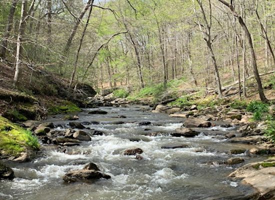 maryland/cunningham-falls-state-park/attraction/gunpowder-falls-state-park-hammerman-area