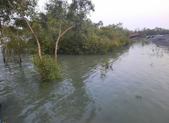 bangladesh/sundarbans-national-park/attraction/sundarban-view-point