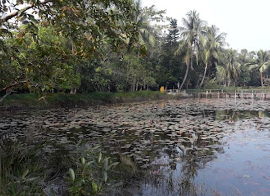 india/sundarbans/attraction/the-sundarbans-bangladesh