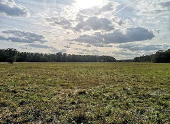 germany/taunus/attraction/schwanheimer-wiesen