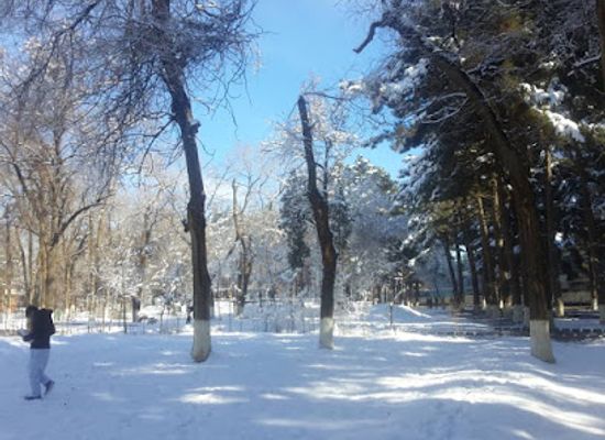 afghanistan/paropamisadae/attraction/shahr-e-naw-park