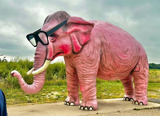 wisconsin/central-sands/attraction/pink-elephant