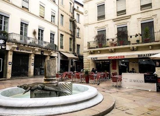 france/camargue/attraction/pl-du-marche