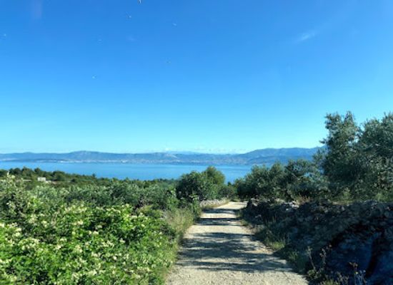 croatia/central-croatia/attraction/brac-put-maslina-central-dalmatia-croatia-theme-trails