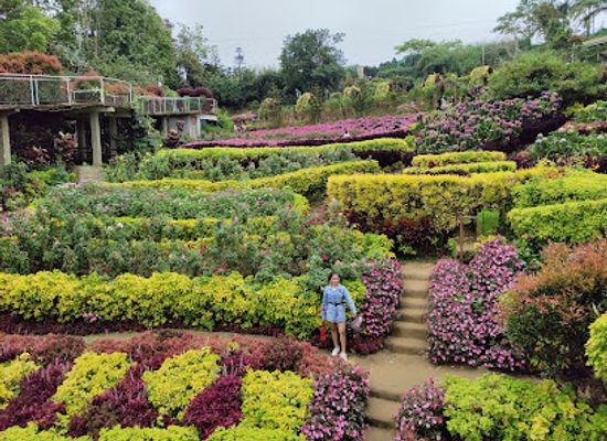 philippines/visayas/attraction/buwakan-ni-alejandra
