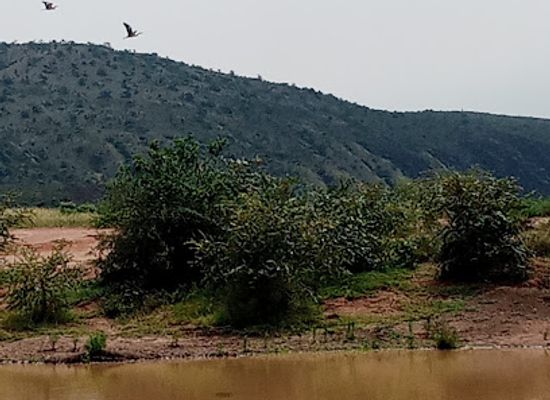 uganda/bunyoro/attraction/kabwoya-wildlife-reserve