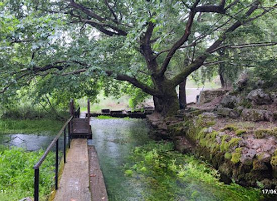 greece/mount-parnassus/attraction/source-of-the-kephissos-river