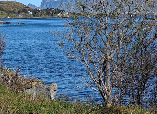 norway/lofoten/attraction/caspar-the-friendly-ghost-stone