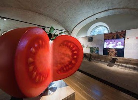 italy/parma/attraction/museum-of-tomato