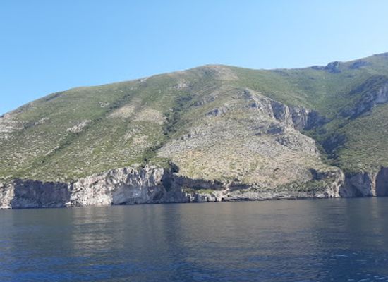 albania/vlora-region/attraction/vjose-narte-delta-protected-area