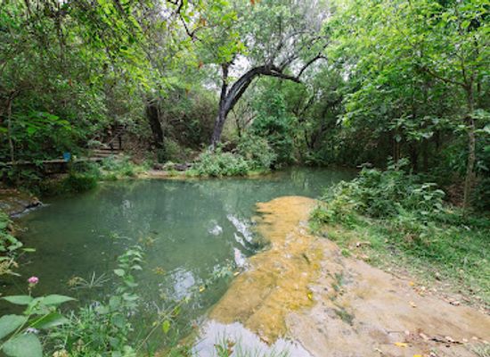 zambia/lusaka/attraction/monkey-pools
