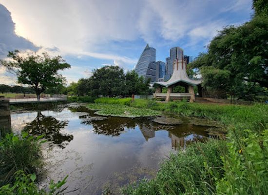 texas/mckinney-falls-state-park/attraction/auditorium-shores-at-town-lake-metropolitan-park