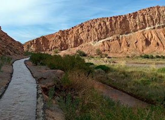 chile/san-pedro-de-atacama/attraction/catarpe
