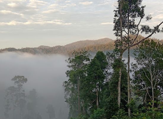 malaysia/taman-negara-national-park/attraction/bukit-awan