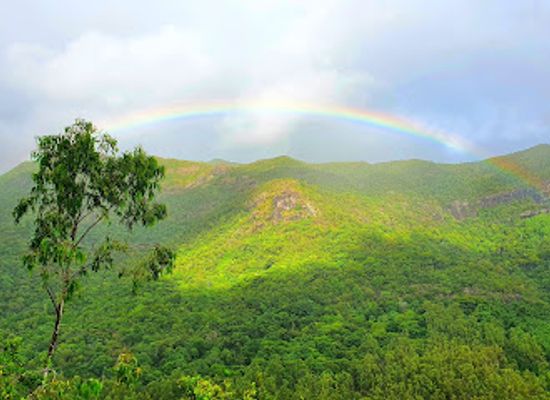 mauritius/chamarel-coloured-earth/attraction/plateau-resmousse