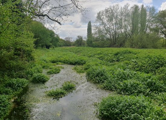 united-kingdom/middlesex/attraction/lemsford-springs