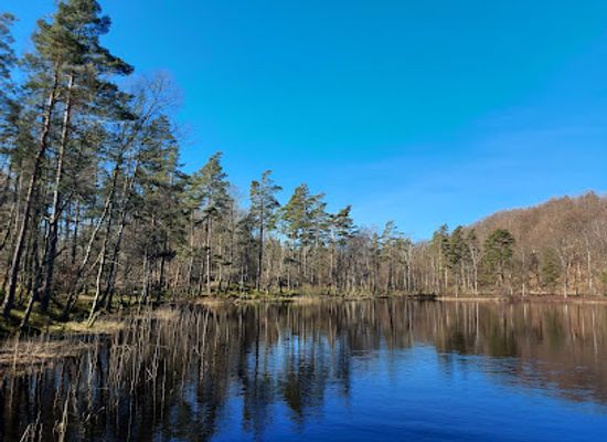 sweden/halland/attraction/biskopstorps-naturreservat
