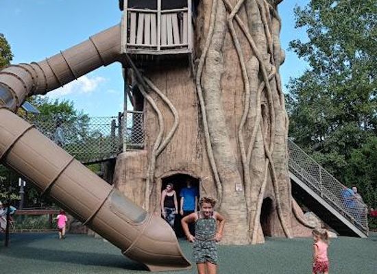 wisconsin/madison/attraction/henry-vilas-zoo