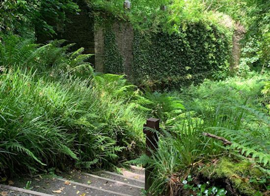 ireland/county-cavan/attraction/dun-a-ri-forest-park