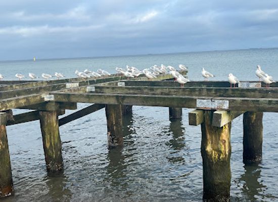 poland/pomerania/attraction/mini-molo