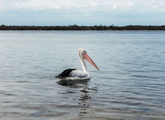 australia/gippsland/attraction/the-lakes-national-park