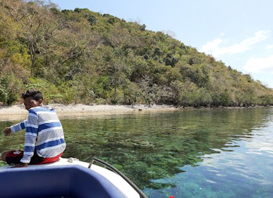 philippines/mimaropa/attraction/lusong-coral-garden