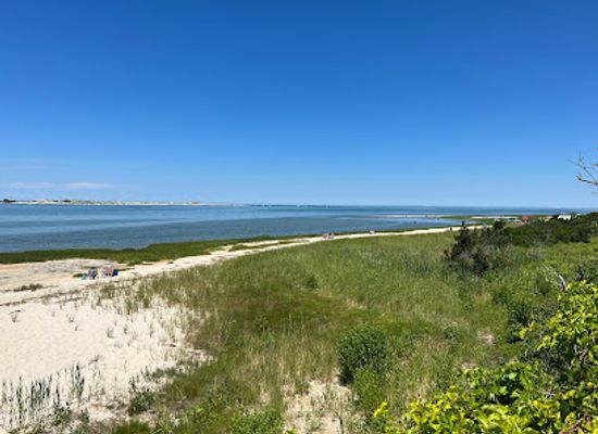 massachusetts/cape-cod/attraction/mass-audubon-long-pasture-wildlife-sanctuary