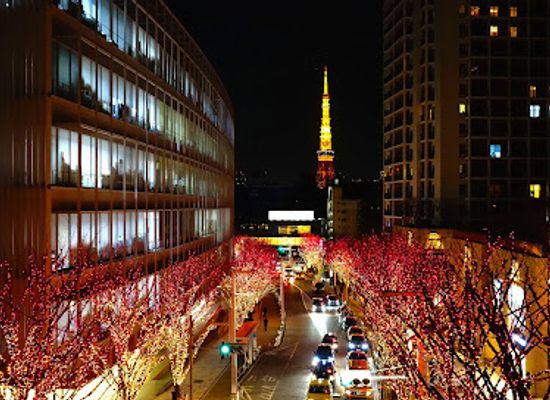 japan/tokyo/roppongi/attraction/roppongi-keyakizaka-st