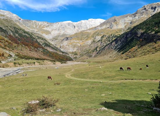 spain/aragon/attraction/llanos-de-la-larri