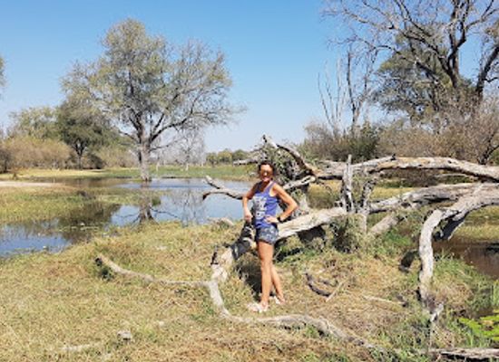angola/okavango-basin/attraction/moremi-game-reserve
