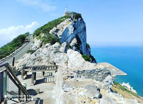 gibraltar/little-bay/attraction/gibraltar-ornithological-and-natural-history-society-gonhs