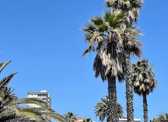 chile/vina-del-mar/attraction/plaza-colombia