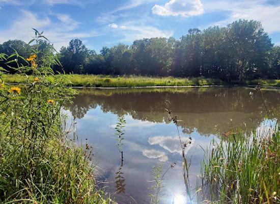 illinois/corn-belt/attraction/margery-adams-wildlife-sanctuary