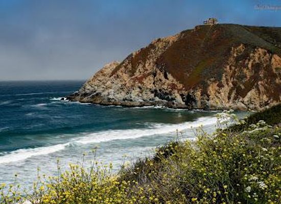 california/san-francisco-peninsula/attraction/gray-whale-cove-state-beach