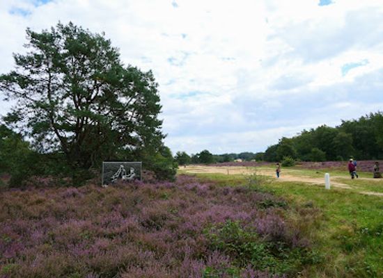 netherlands/veluwe/attraction/otterlose-zand