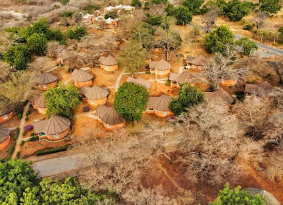 nigeria/jukun/attraction/yankari-game-reserve