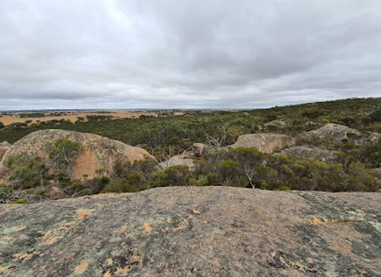 australia/limestone-coast/attraction/jip-jip-conservation-park
