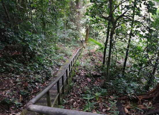 brunei/temburong-district/attraction/bukit-mas