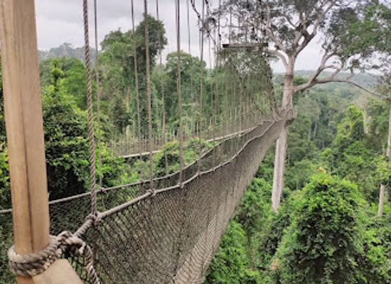ghana/brong-ahafo/attraction/kakum-national-park-entrance-gate-ghana